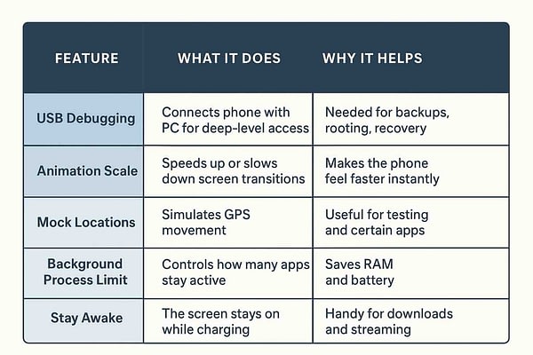 How to Enable Developer Mode on Android Step by Step