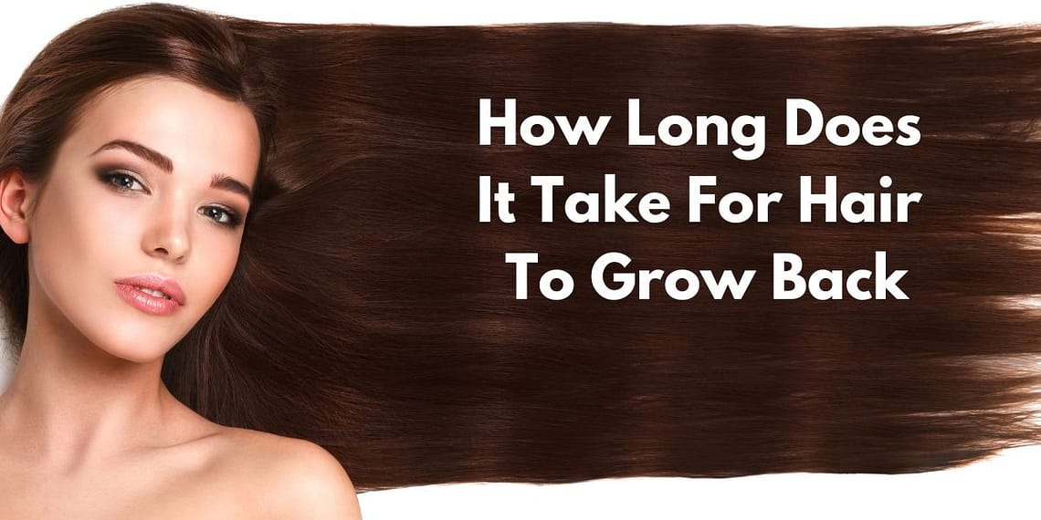 How Long Does It Take For Hair To Grow Back
