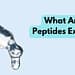 What Are Peptides Exactly?