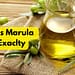What Is Marula Oil Exaclty?