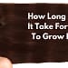How Long Does It Take For Hair To Grow Back
