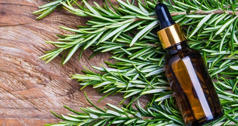 Dilute Rosemary Oil For Hair Health