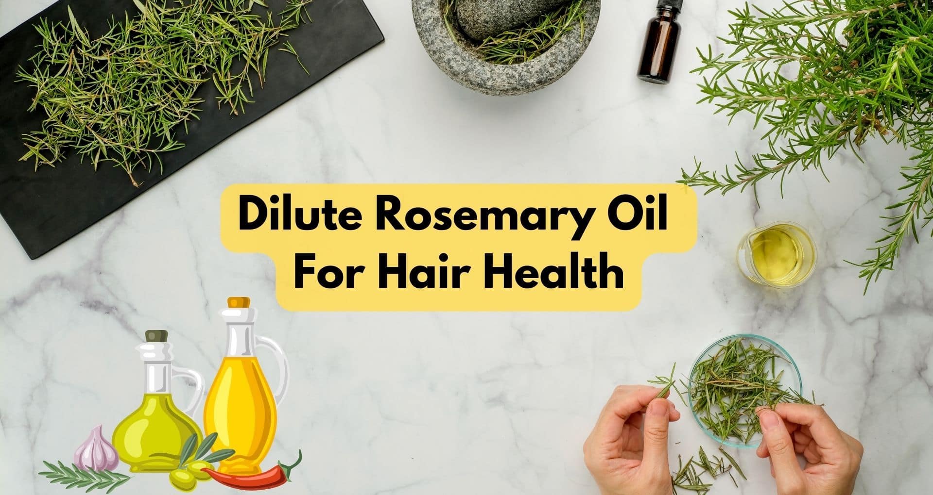 How To Dilute Rosemary Oil For Hair Health 0246